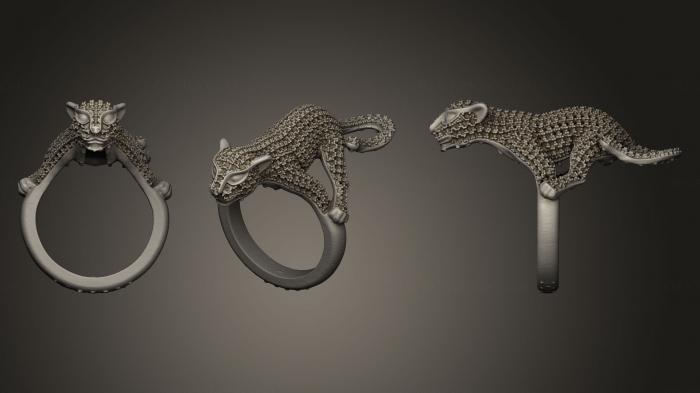 Jewelry rings (JVLRP_0021) 3D model for CNC machine